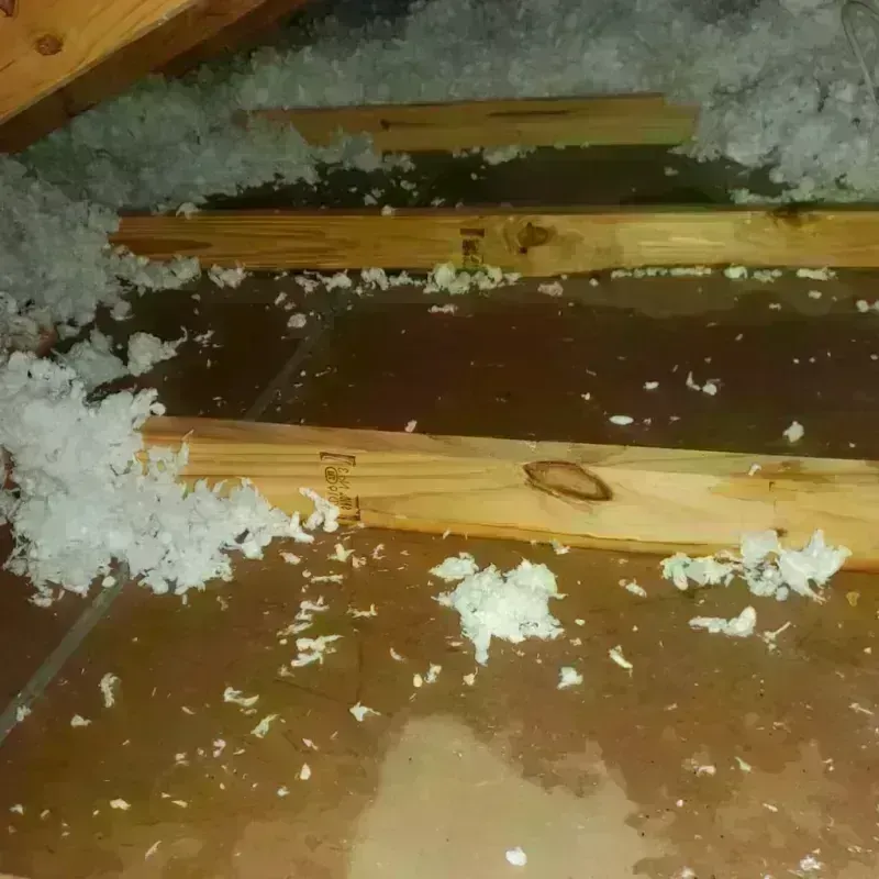 Attic Water Damage in Bowling Green, MO